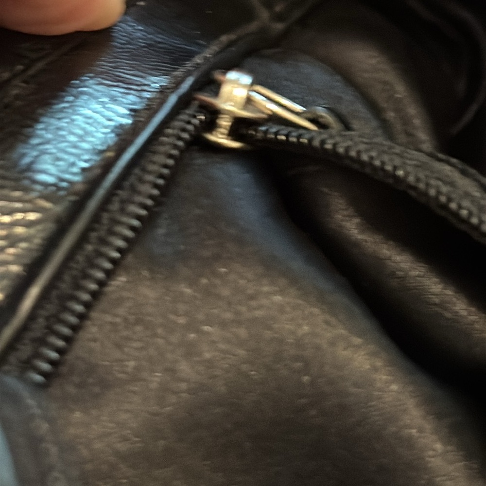 Coach Zebra Bag - Picture 11 of 16